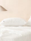 Linen House 250TC Cotton Sheet Set, White product photo View 02 S