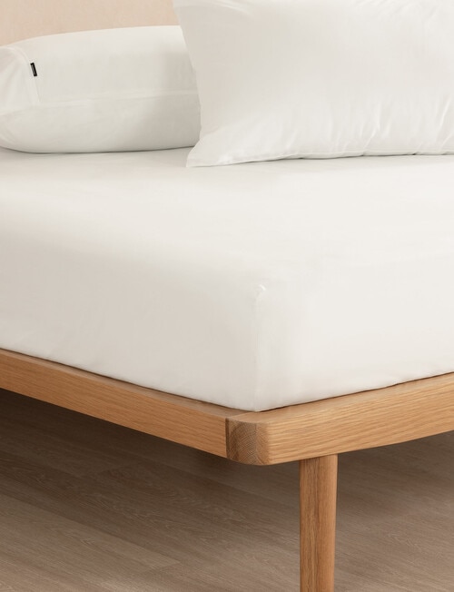 Linen House 250TC Cotton Fitted Sheet, White product photo