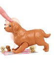 Barbie Newborn Pups Playset, Assorted product photo View 07 S