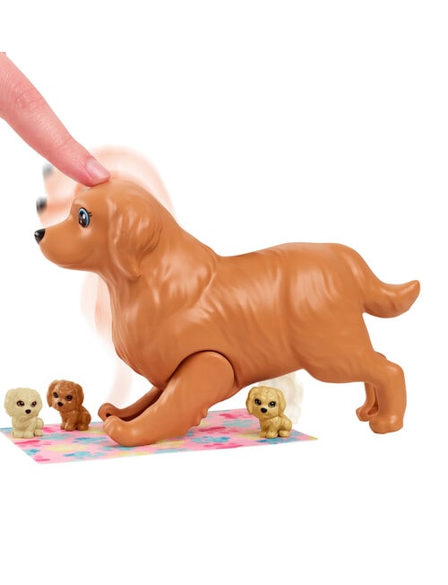 Barbie Newborn Pups Playset, Assorted product photo View 07 L