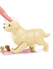 Barbie Newborn Pups Playset, Assorted product photo View 09 S