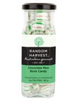 Random Harvest Chocolate Mint Humbugs, 170g product photo