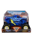 Monster Jam 1:24 Collector Die Cast Vehicle, Assorted product photo View 05 S