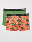 Bonds Hipster Cotton Trunk, 2-Pack, Scamp, 3-14 product photo