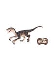 Remote Control Velociraptor With Light And Sound, Assorted product photo View 02 S
