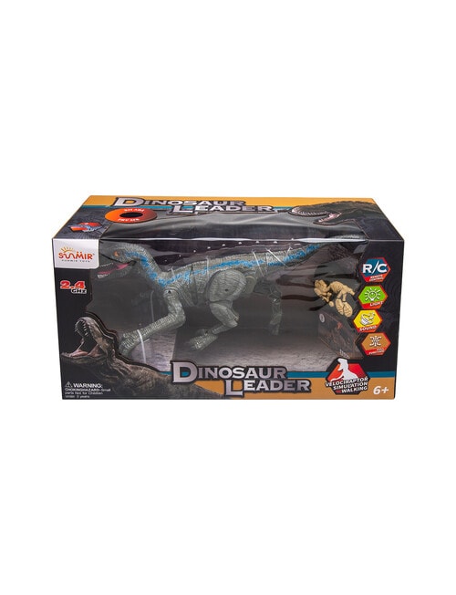 Remote Control Velociraptor With Light And Sound, Assorted product photo View 03 L