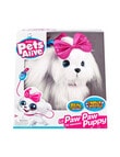 Pets Alive Lil' Paw Paw Walking Puppy product photo