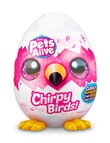 Pets Alive Chirpy Birds, Assorted product photo