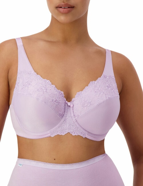 Triumph Embroidered Minimiser Bra, 2-Pack, Lilac & Blueberry product photo View 02 L