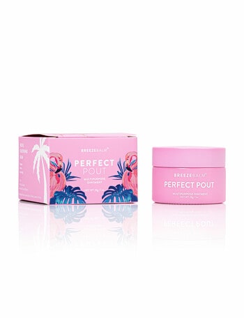 Breeze Balm Perfect Pout Multipurpose Ointment product photo