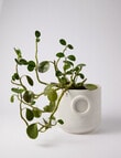 Tilly Home Bower Planter, Large product photo