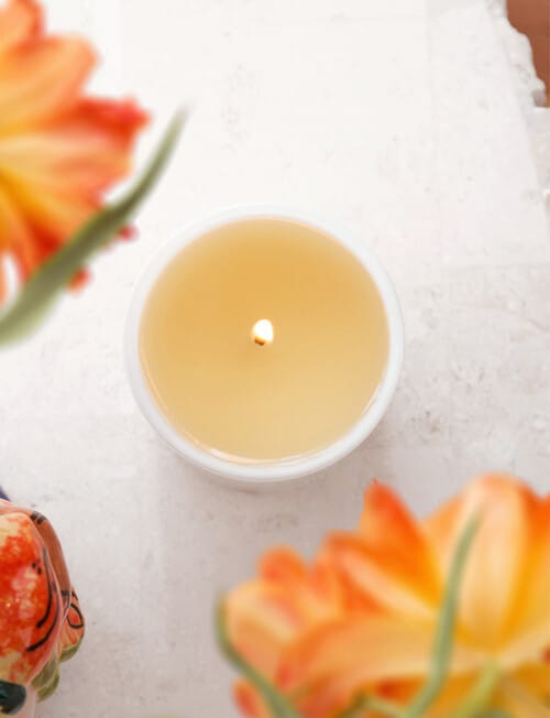 The Aromatherapy Co. Naturals Candle, Blood Orange & Pomelo, 400g product photo View 04 L