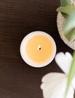 The Aromatherapy Co. Naturals Candle, Neroli & Amber Wood, 400g product photo View 05 S