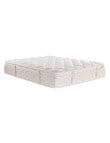 Sleepyhead Sanctuary Medium Feel Mattress product photo