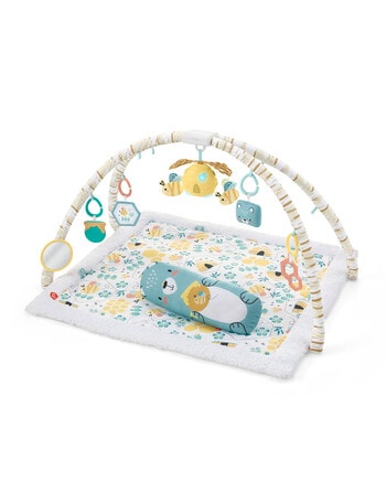 Fisher Price Honey Bee Gym product photo