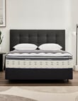 Sleepyhead Chiropractic Medium Feel Bedset product photo
