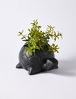M&Co Metal Turtle, Black product photo View 02 S