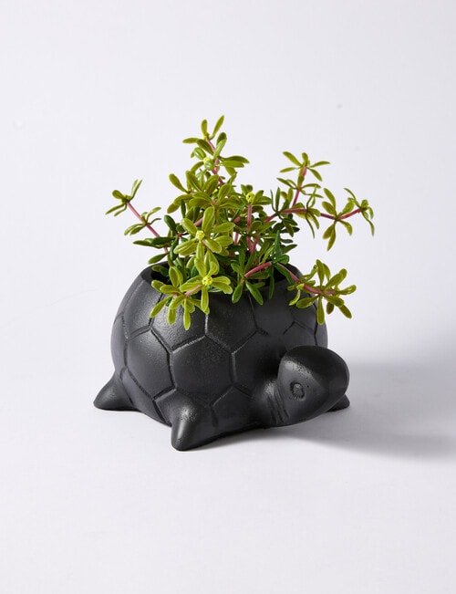 M&Co Metal Turtle, Black product photo View 02 L