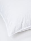 Domani 85/15 Duck Feather European Pillow product photo View 02 S