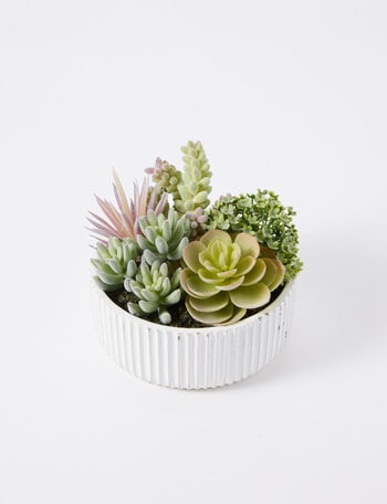 M&Co Ridgeline Succulent Bowl, White product photo