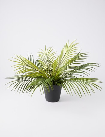 M&Co Mini Palm, 45cm product photo