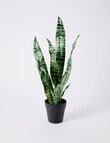 M&Co Faux Ridgeline Snake Plant product photo