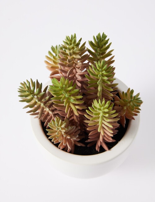 M&Co Faux Succulent product photo View 02 L