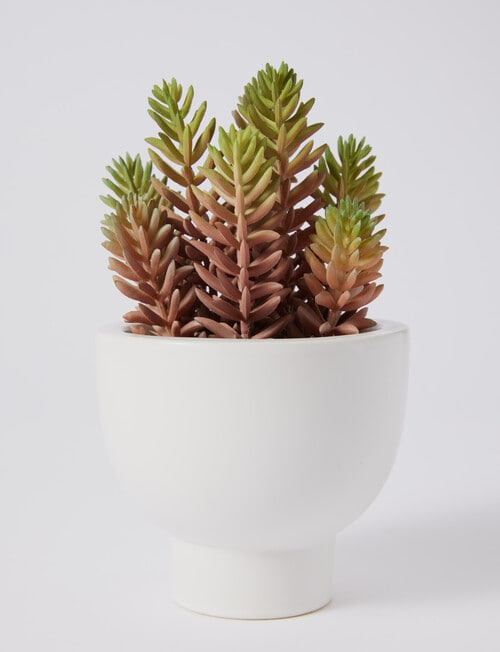 M&Co Faux Succulent product photo View 03 L