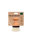 Seymours Bamboo Palm Brush product photo