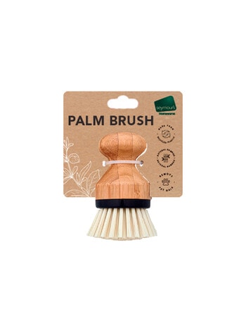 Seymours Bamboo Palm Brush product photo