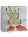 Peter Rabbit New Adventure Cuddle Blanket, Pink product photo View 02 S