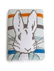 Peter Rabbit New Adventure Cuddle Blanket, Blue product photo View 02 S