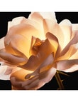 Dior Prestige Le Cushion Teint de Rose product photo View 07 S