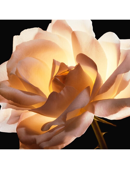 Dior Prestige Le Cushion Teint de Rose product photo View 07 L