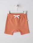 Teeny Weeny Rib Shorts, Papaya product photo