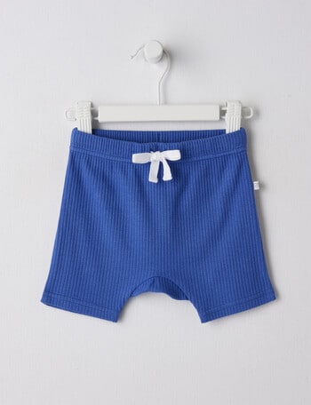 Teeny Weeny Rib Shorts, Indigo product photo