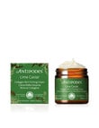 Antipodes Lime Caviar Collagen-Rich Firming Day Cream, 60ml product photo