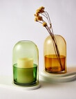 M&Co Two-Piece Glass Vessel, Olive product photo View 05 S