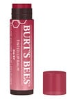 Burts Bees Daisy Tinted Lip Balm product photo View 02 S