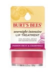 Burts Bees Overnight Lip Treatment Passion Fruit and Chamomile, 7.08g product photo