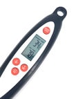 SouthWest Southwest Digital Thermometer Fork product photo View 02 S