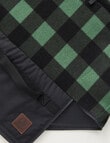 Swanndri Picnic Blanket, Fern & Black product photo View 02 S
