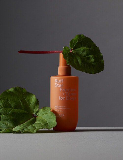 Ashley & Co Ruff Star Freshen + Tame For Dogs, 250ml product photo View 03 L