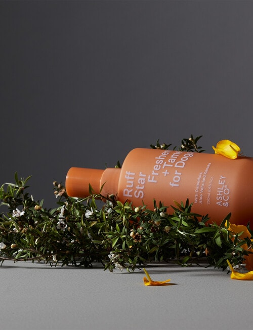 Ashley & Co Ruff Star Freshen + Tame For Dogs, 250ml product photo View 04 L