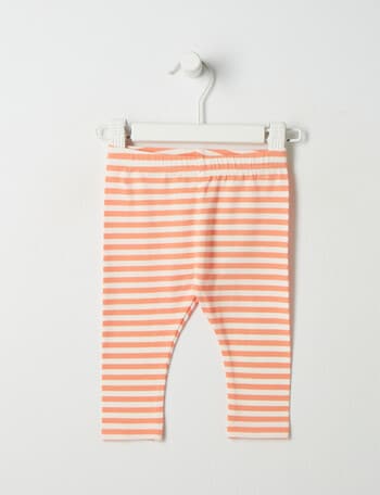 Teeny Weeny In Bloom Stripe Legging, Orange product photo