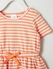 Teeny Weeny In Bloom Stripe Knit Dress, Orange product photo View 04 S