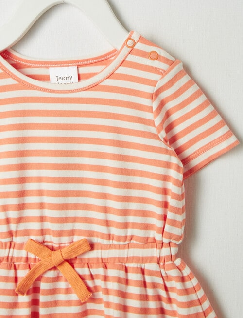 Teeny Weeny In Bloom Stripe Knit Dress, Orange product photo View 04 L