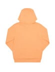 Champion Kids Script Hoodie, Smooth Mango product photo View 02 S