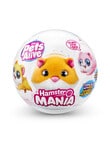 Pets Alive Hamstermania S1, Assorted product photo View 03 S