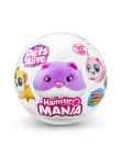 Pets Alive Hamstermania S1, Assorted product photo View 07 S